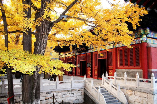 青龍峽踏青、紅螺寺賞紅