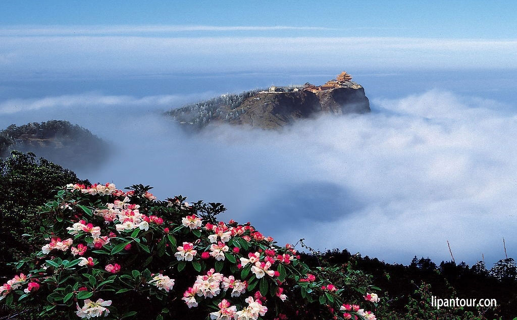 歡行全景-成都 九寨溝 尕