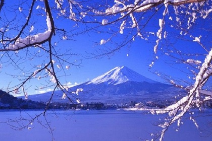 日本小資線(xiàn)路7日_白川鄉(xiāng)和歌山鐮倉(cāng)高山_三晚溫泉酒店